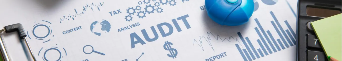 Audit Assurance Service Bg